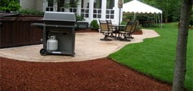Read more about the article Why choose an Organic Mulch?
