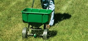 Read more about the article Final Lawn Feeding of the Year